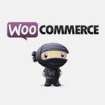 woocommerce-and-others-plugins-1